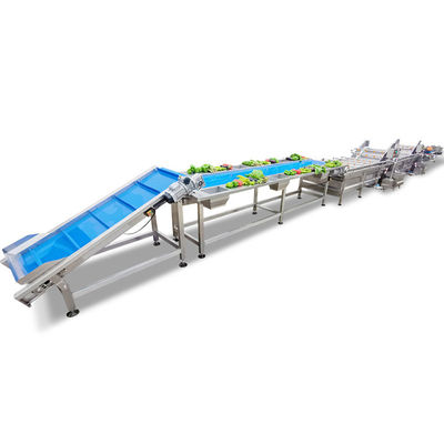 Automatisch Borsteltype Aardappelfruit en Plantaardige Verwerkingslijn