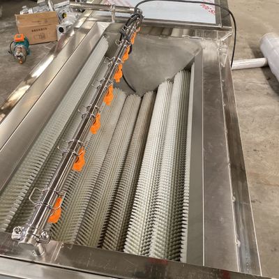 500kg/h van de de Schilmachine van de wortelwol rolle de Groente van de de Bellenwasmachine en de Plantaardige Verwerkingslijn van de Fruit Schoonmakende Machine