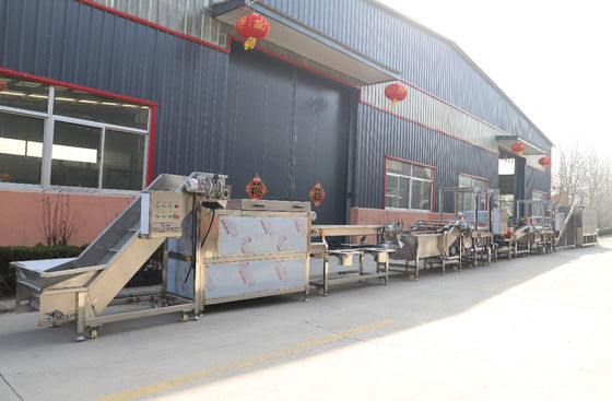1000kg/H frietenaardappel Chips Production Line