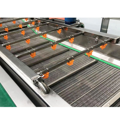 Industriële Automatische Groente en Fruitwas Schoonmakende Machine voor Tomatensalade