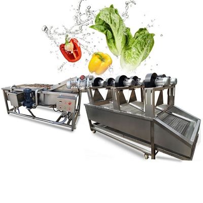 ISO9001 fruit en Plantaardige Verwerkingslijn, Luchtbelwasmachine