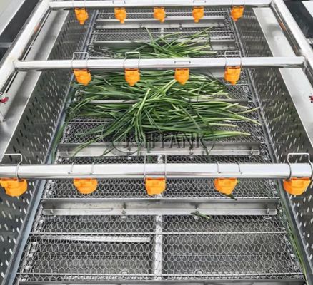 Industriële Automatische Groente en Fruitwas Schoonmakende Machine voor Tomatensalade