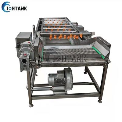 Industriële Automatische Groente en Fruitwas Schoonmakende Machine voor Tomatensalade