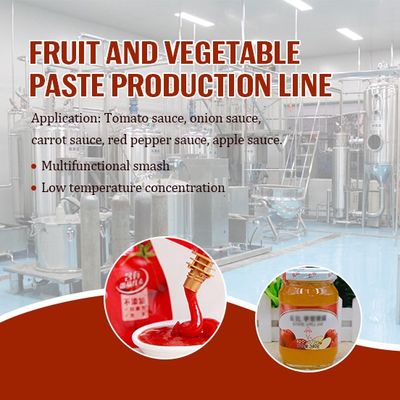 De Sausproductielijn SUS304 van de ketchuptomatenpuree